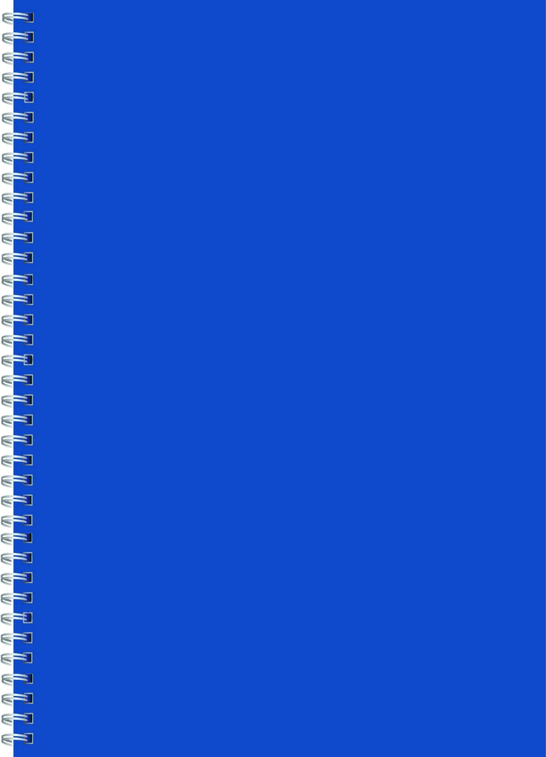 Kołonotatnik B5/120k Kreska